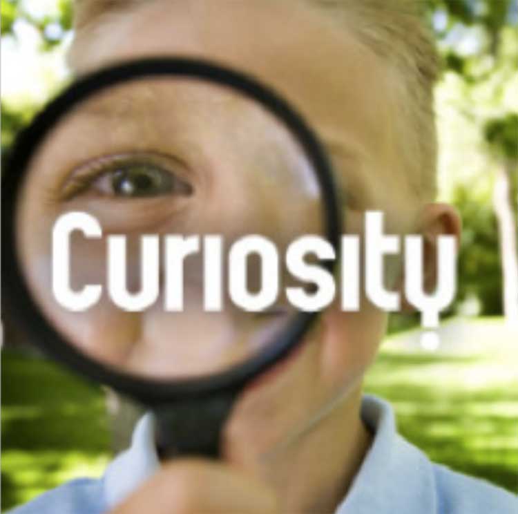 curiosity